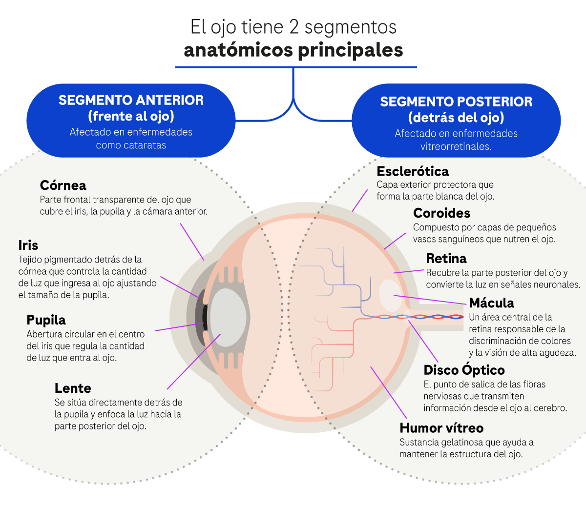 Oftalmologia