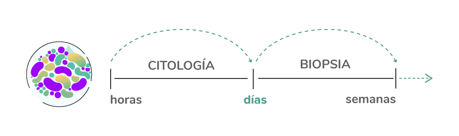 El viaje de la muestra